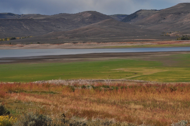 Fork Lake in the Curecanti Natl Rec Area